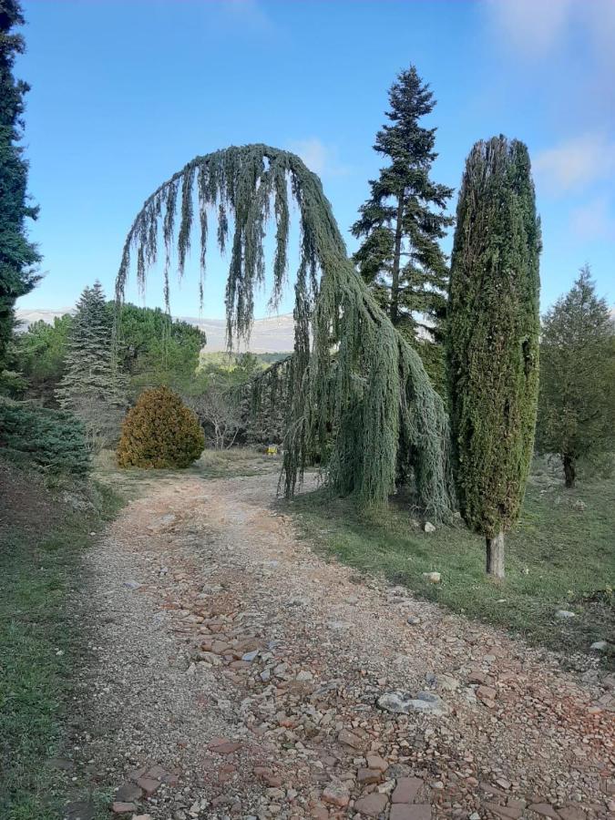 Domaine De La Xavoliere Hotel Saint-Cezaire-sur-Siagne Bagian luar foto